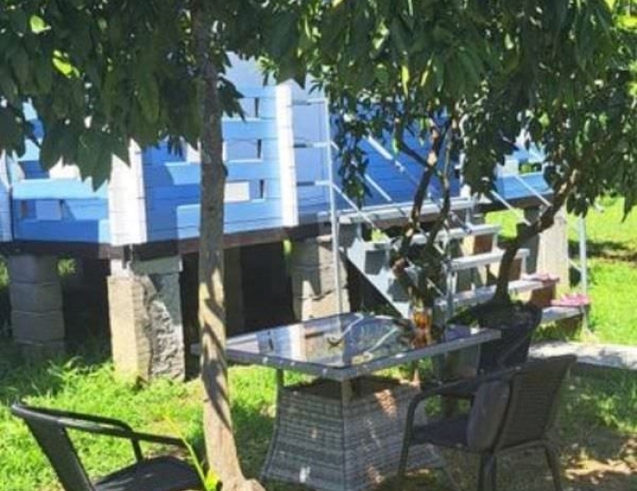 База отдыха «Мария» Сухум